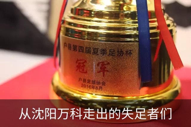 从沈阳万科走出的失足者们