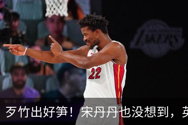 歹竹出好笋！宋丹丹也没想到，英如镝一出手就口碑暴涨，巴图沉默